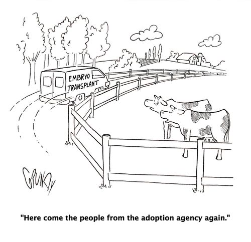 'Here come the people from the adoption agency again.'
