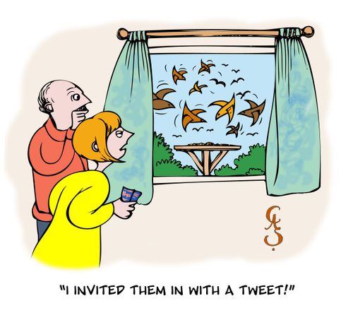 'I invited them in with a Tweet!'