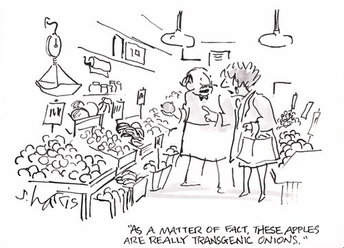 'As a matter of fact, these apples are really transgenic onions.'