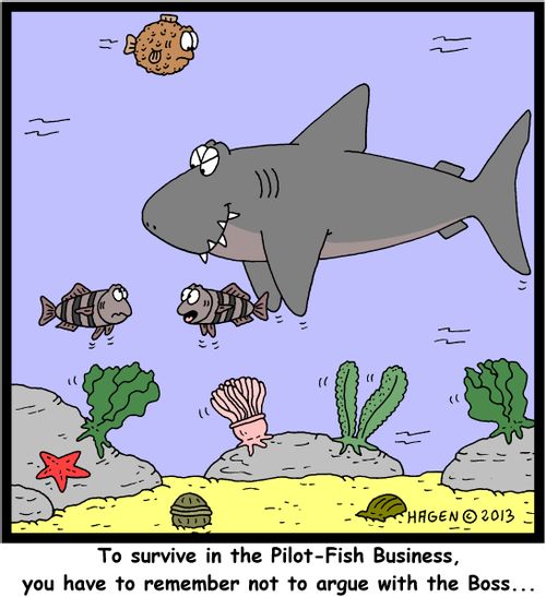 'To survive in the Pilot-Fish Business, you have to remember not to argue with the Boss...'
