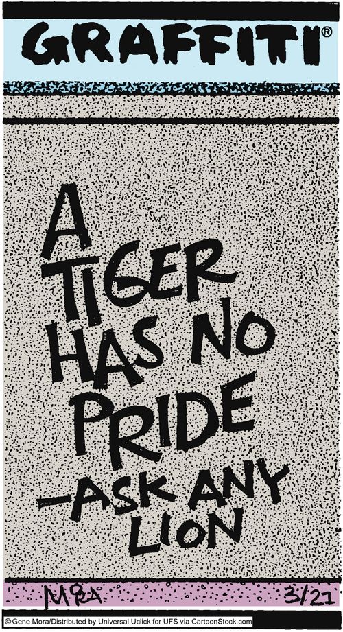 A tiger has no pride - ask any lion.