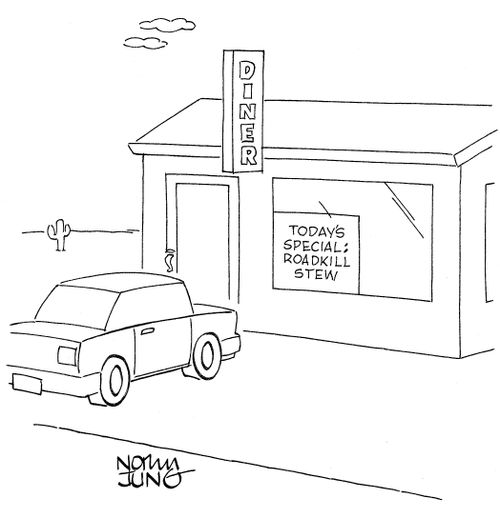 Today's special: Roadkill stew.