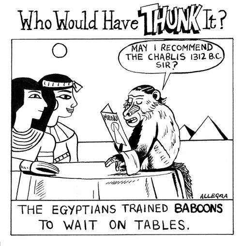 The Egyptians trained baboons to wait on tables.