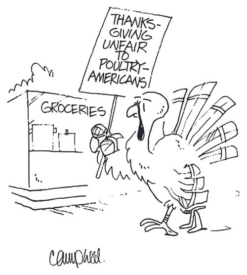 'Thanksgiving unfair to poultry Americans'.