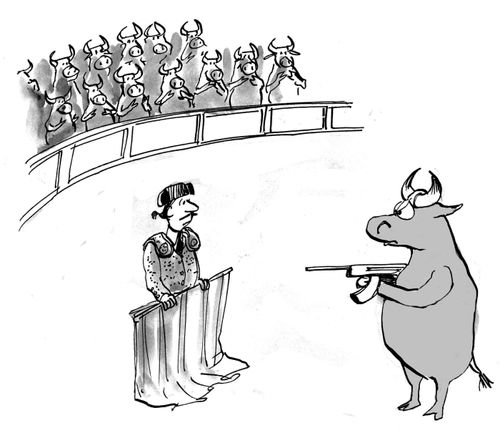 Bull with gun