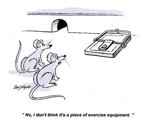 'No, I don't think it's a piece of exercise equipment.'