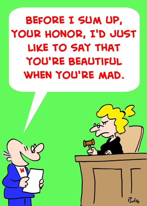 'Before I sum up, Your Honor, I'd just like to say that you're beautiful when you're mad.'