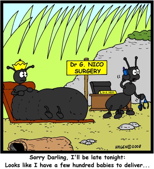 'Sorry Darling, I'll be late tonight: Looks like I have a few hundred babies to deliver...'
