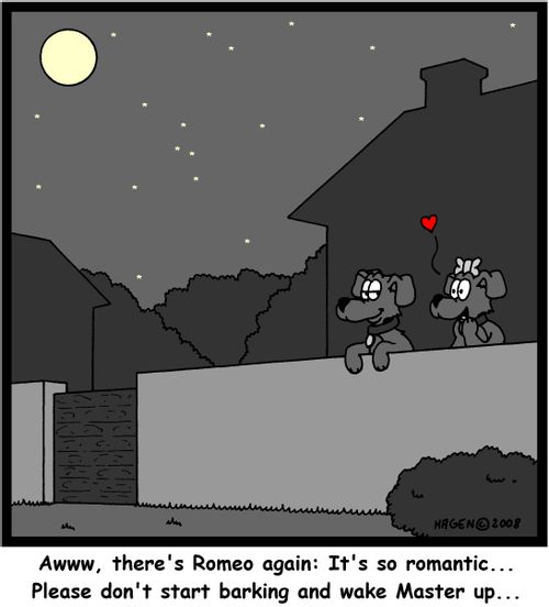 'Awww, there's Romeo again: This is so romantic... Please don't start barking and wake Master up...'