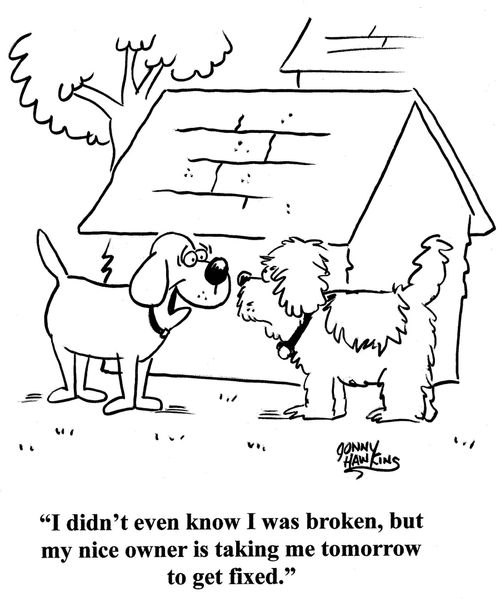 Dog to dog: 'I didn't even know I was broken, but my nice owner is taking me tomorrow to get fixed.'