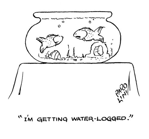 'I'm getting water-logged.'