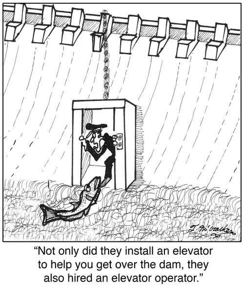 'Not only did they install an elevator to help you get over the dam, they also hired an elevator operator.'