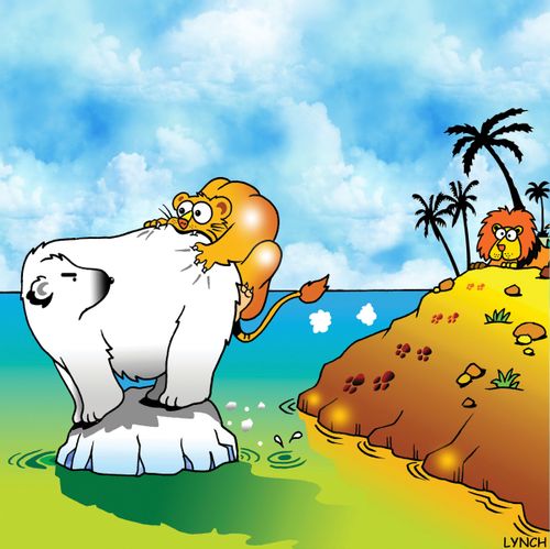 Lion attacking Polar Bear