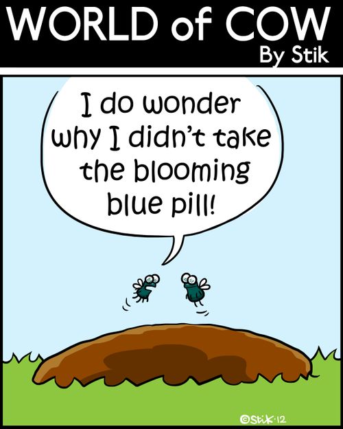 'I do wonder why I didn't take the blooming blue pill!'