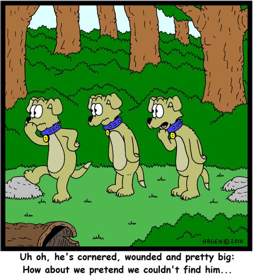 'Uh oh, he's cornered, wounded and pretty big: How about we pretend we couldn't find him...'