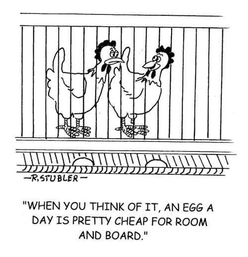 'When you think of it,an egg a day is pretty cheap for room and board.'