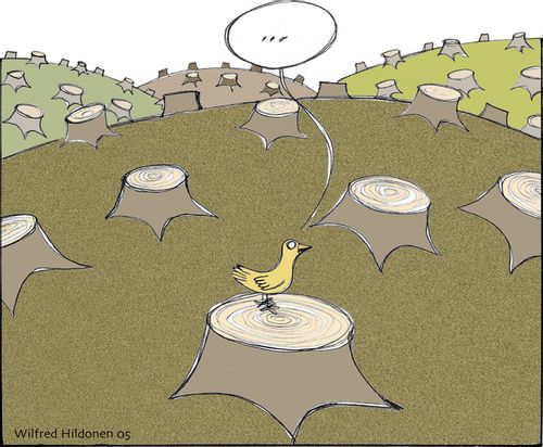 The last bird in the last wood...