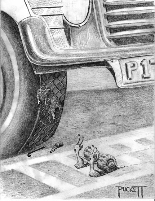 A snail 'couple' is crossing road looking up, they see crushed snail couple on tread of car tire...