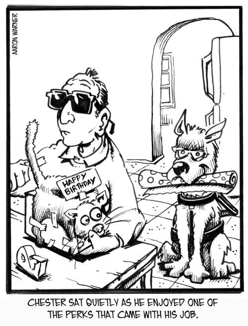 Chester sat quietly as he enjoyed one of the perks that came with his job.
