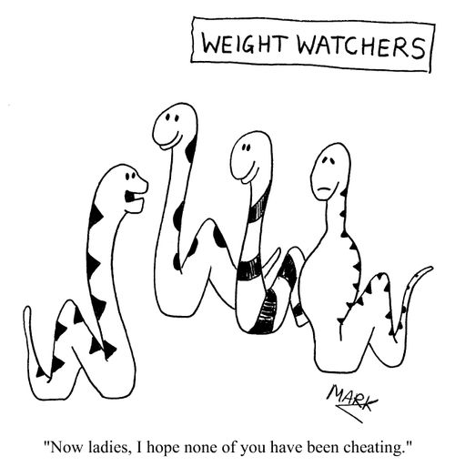 "Now ladies, I hope none of you have been cheating."