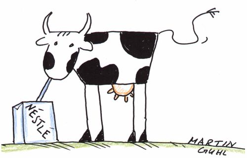 Cute cow drinking from a carton from Nestle