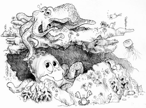 Squid and Octopus