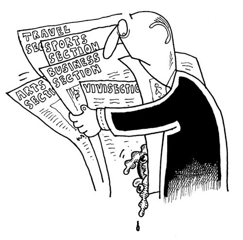 Newspaper Sections, Travel Section,Business Section,Vivisection
