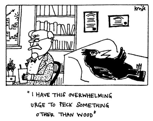"I have an overwhelming urge to peck something other than wood"