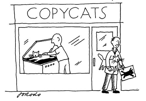 Copycats