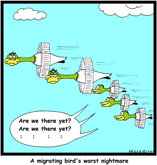 A migrating bird's worst nightmare.