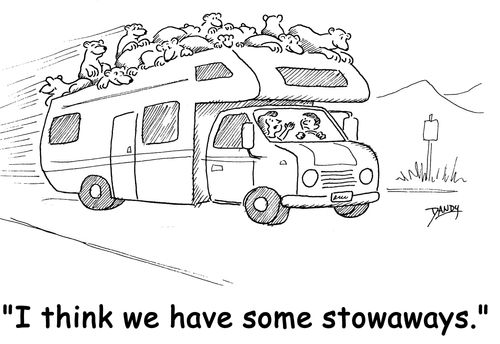 'I think we have some stowaways.'