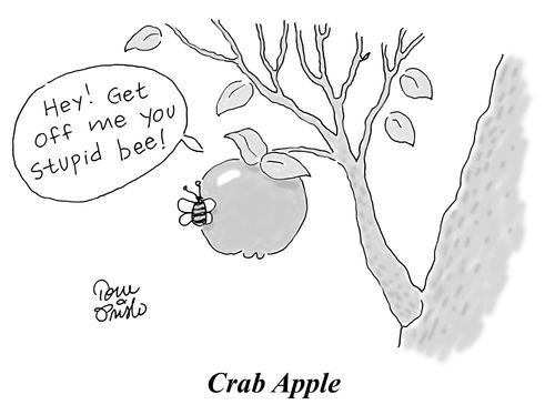 Crab Apple.