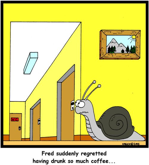 'Fred suddenly regretted having drunk so much coffee...'