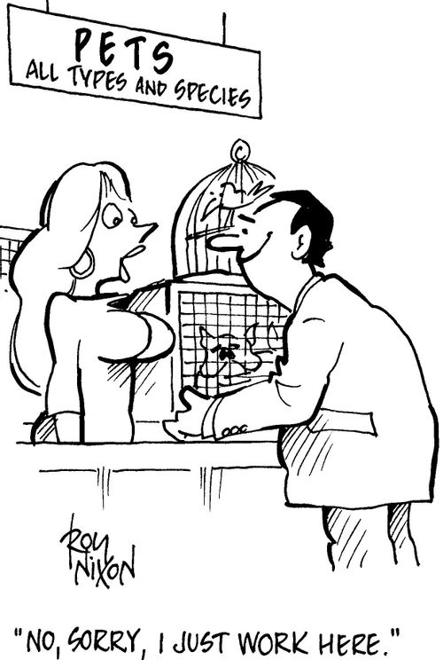 'No, sorry, I just work here.'