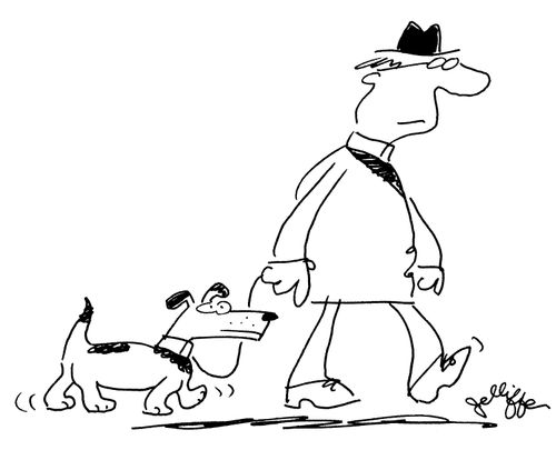Dog collars.