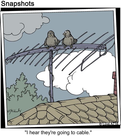Birds sitting on aerial, one says to the other; 'I hear they're going to cable.'