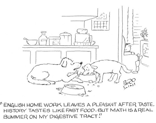 'English homework leaves a pleasant after taste. History takes like fast food. But math is a real bummer on my digestive tract.'