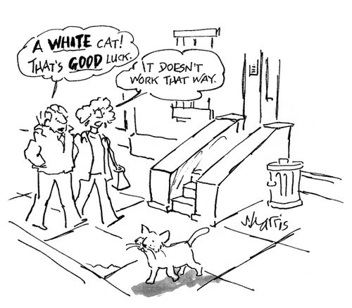 'A white cat!  That's good luck.'  'It doesn't work that way.'