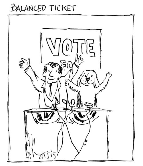 Balanced Ticket - Vote.