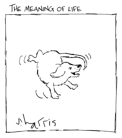 The meaning of life.