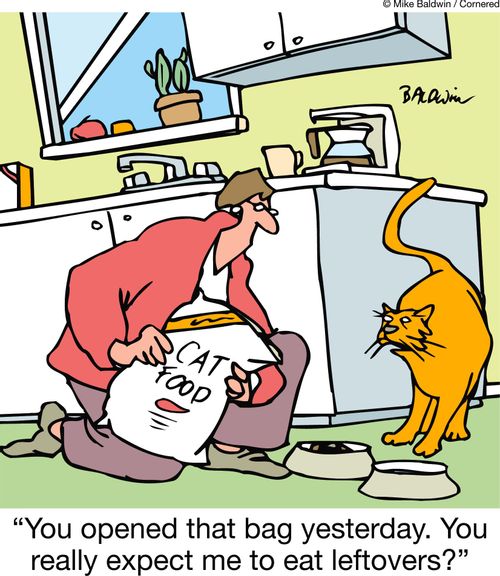"You opened that bag yesterday. You really expect me to eat leftovers?"