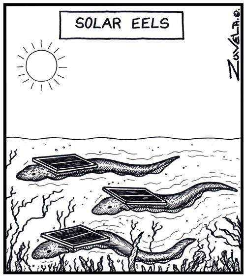 Solar eels.