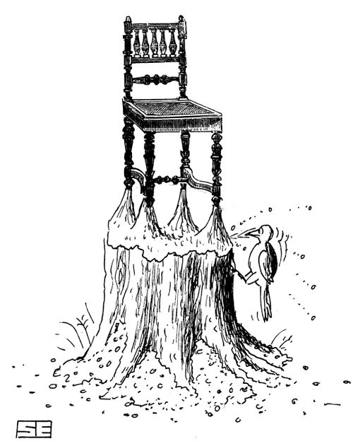 Woodpecker Carving Chair out of Tree.