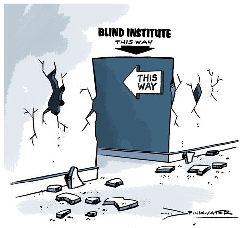 Blind Institute.