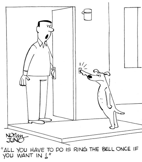 'All you have to do is ring the bell once if you want in!'