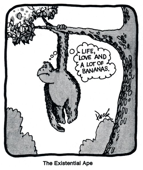 The Existential Ape.