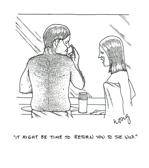 'It might be time to return you to the wild.'