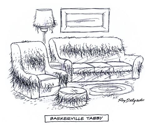 Baskerville Tabby.