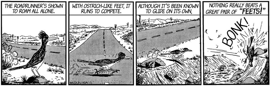 Roadrunner