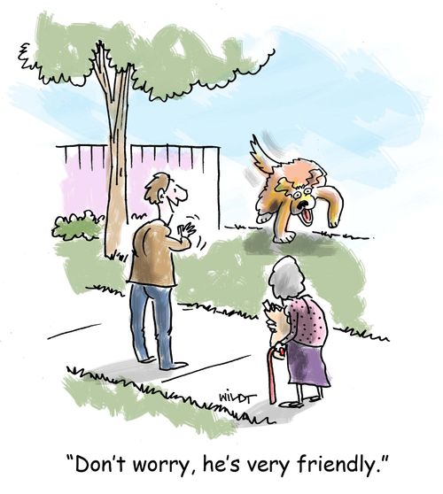 'Don't worry, he's very friendly.'
